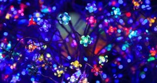 Jak nejlépe vyzdobit domov vánočním osvětlením a přitom ušetřit energii?