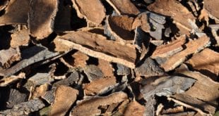 Využití korku v interiéru