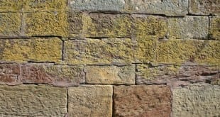 Co když na jaře začíná kvést i fasáda vašeho domu?