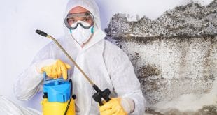 Deratizace, dezinfekce a dezinsekce. Víte, koho máte na jaký úklid vlastně volat?