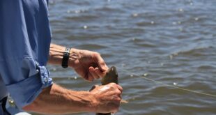 Na jaké ryby můžeme líčit na podzim?