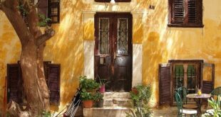 Jak vyčistit špinavou fasádu od řas, mechů a plísní