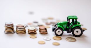 Big Farm přivedl běžného podnikatele k zisku 50 tisíc
