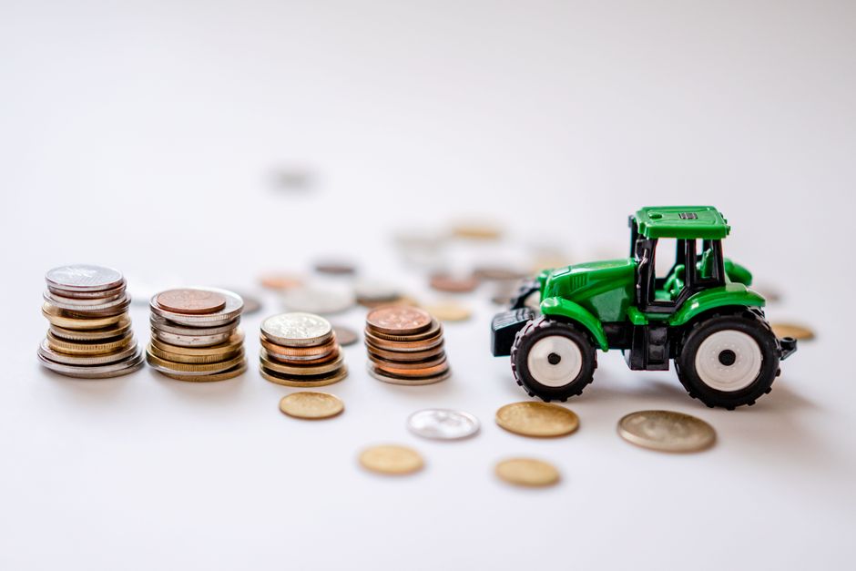 Big Farm přivedl běžného podnikatele k zisku 50 tisíc Big Farm přivedl běžného podnikatele k zisku 50 tisíc
