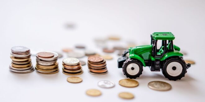 Big Farm přivedl běžného podnikatele k zisku 50 tisíc