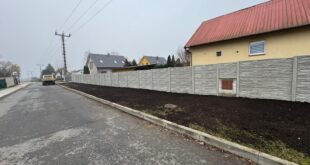 Betonový plot: pro koho je vhodný a na co dát pozor