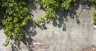 Budujeme suchou zídku